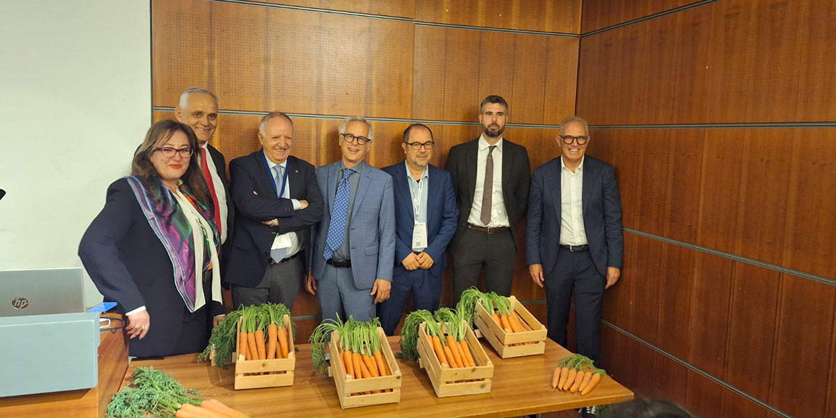 Macfrut, il Carrot Day accende i riflettori su una coltura chiave per l’ortofrutta